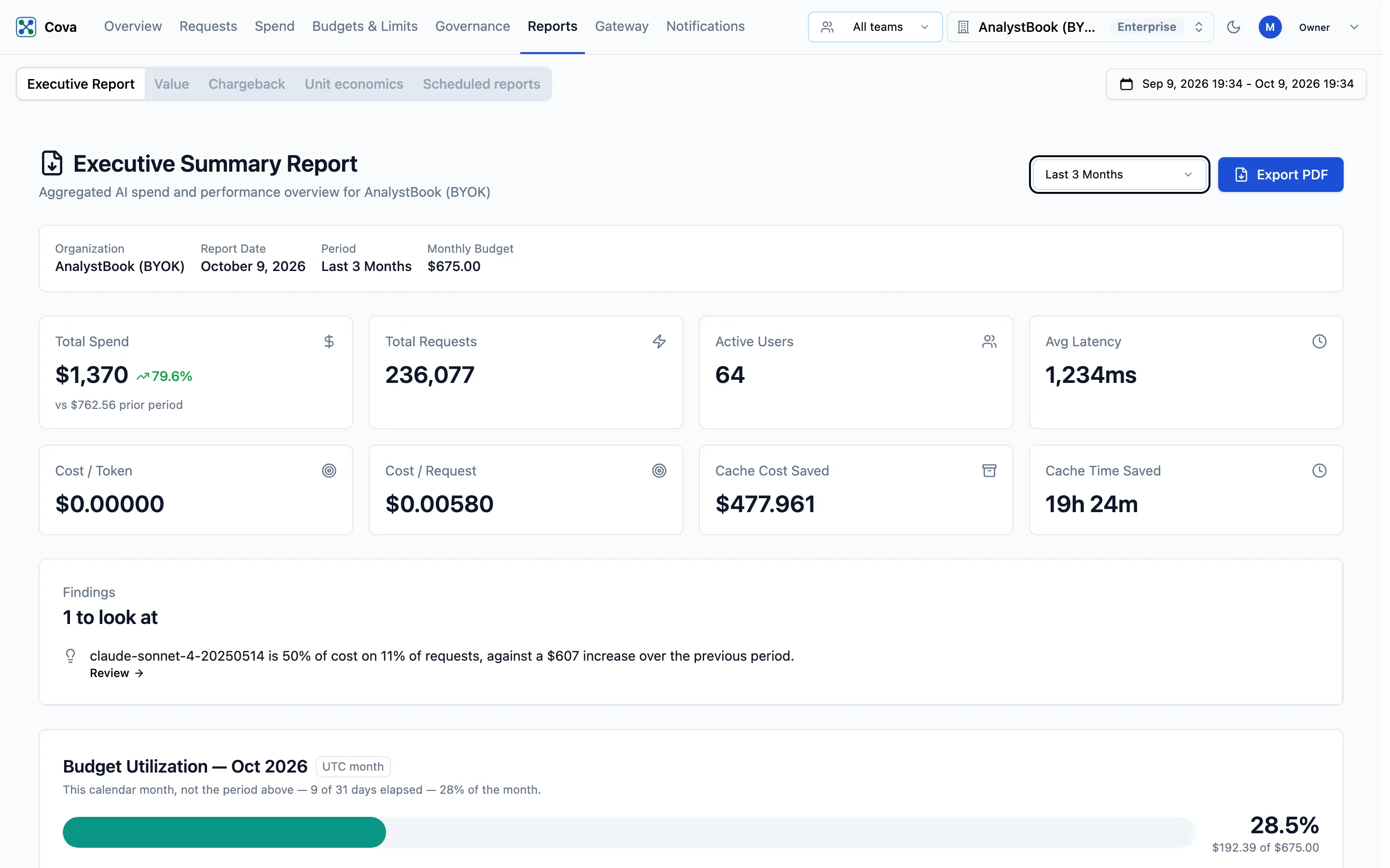 The Executive Report tab