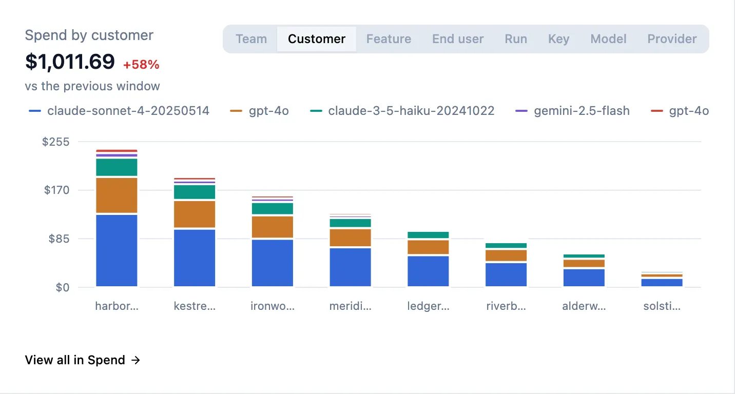 The Spend by panel, Customer tab
